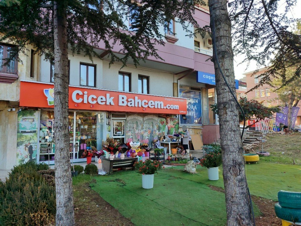 Insurance broker Makro Grup Sigorta Acenteliği, Ankara, photo