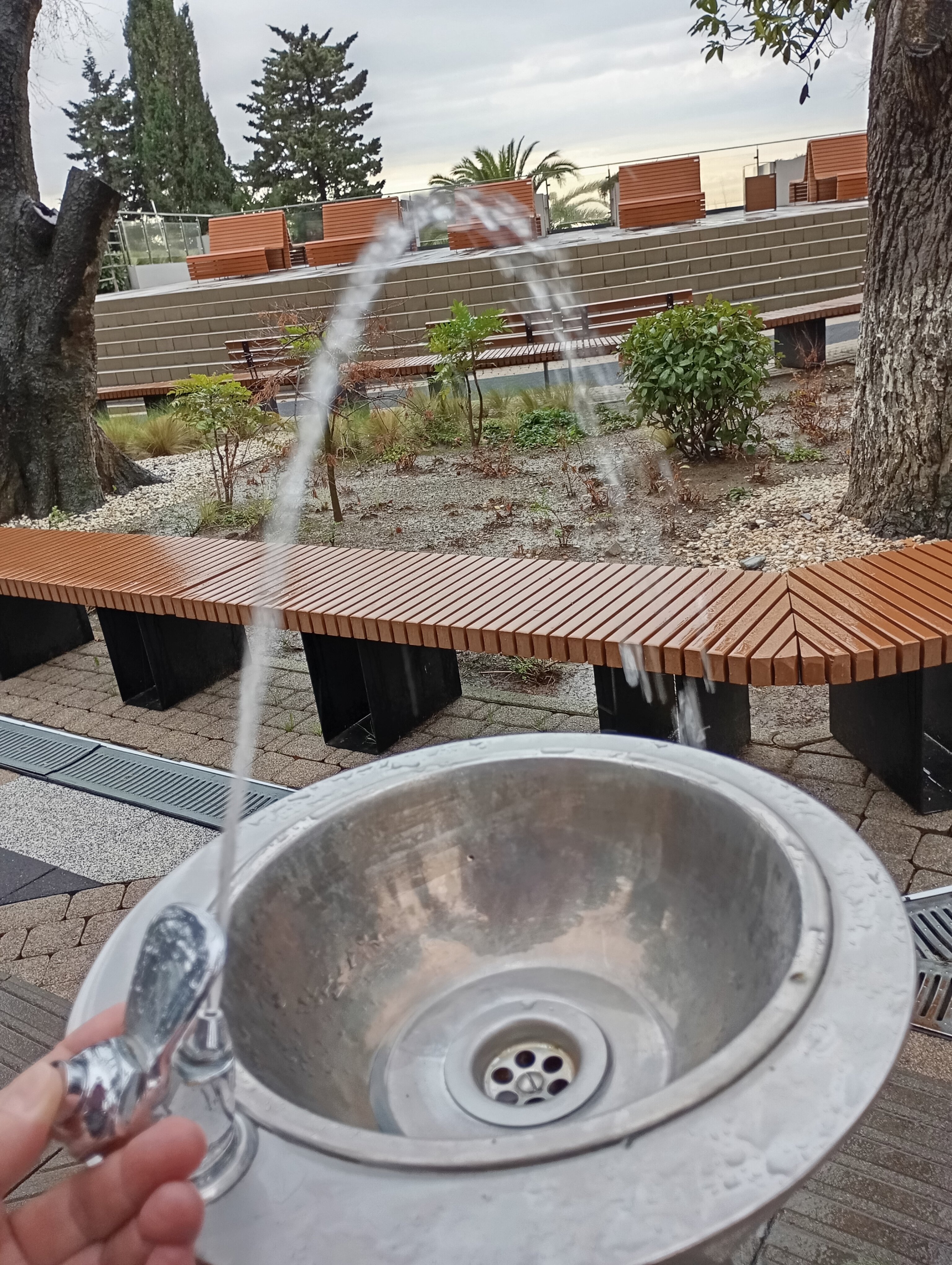 Фото Ривьера Парк Отель