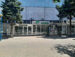 Elat Flora (Decebal boulevard, 99), floristeria