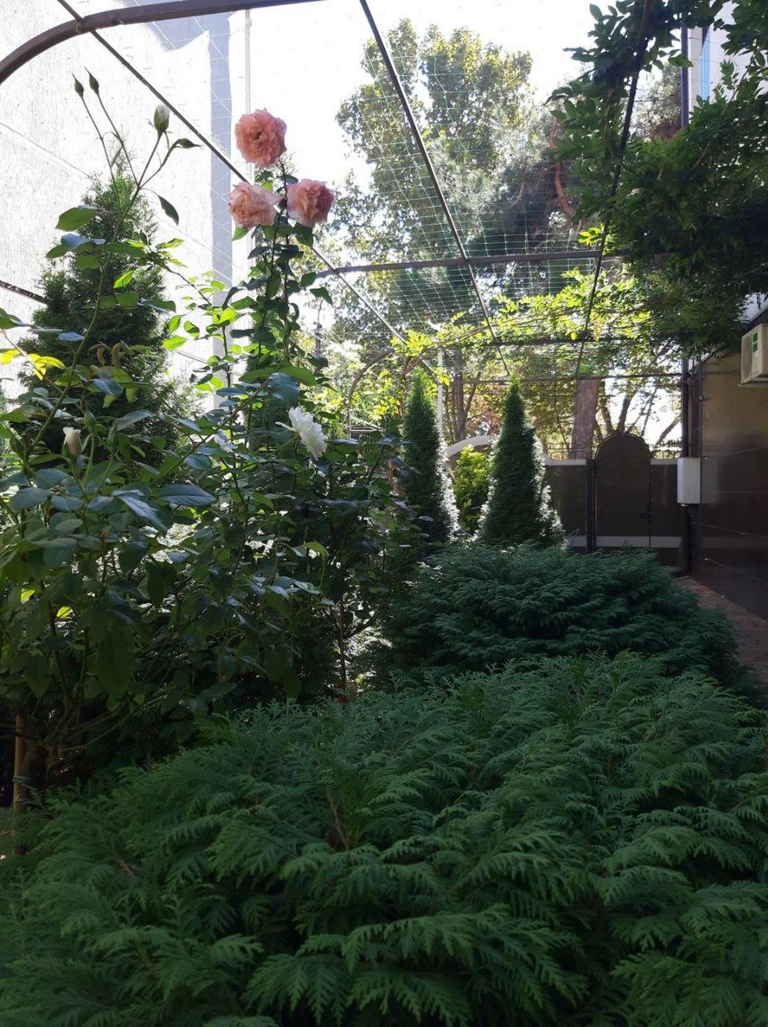 Фото 5 Причин