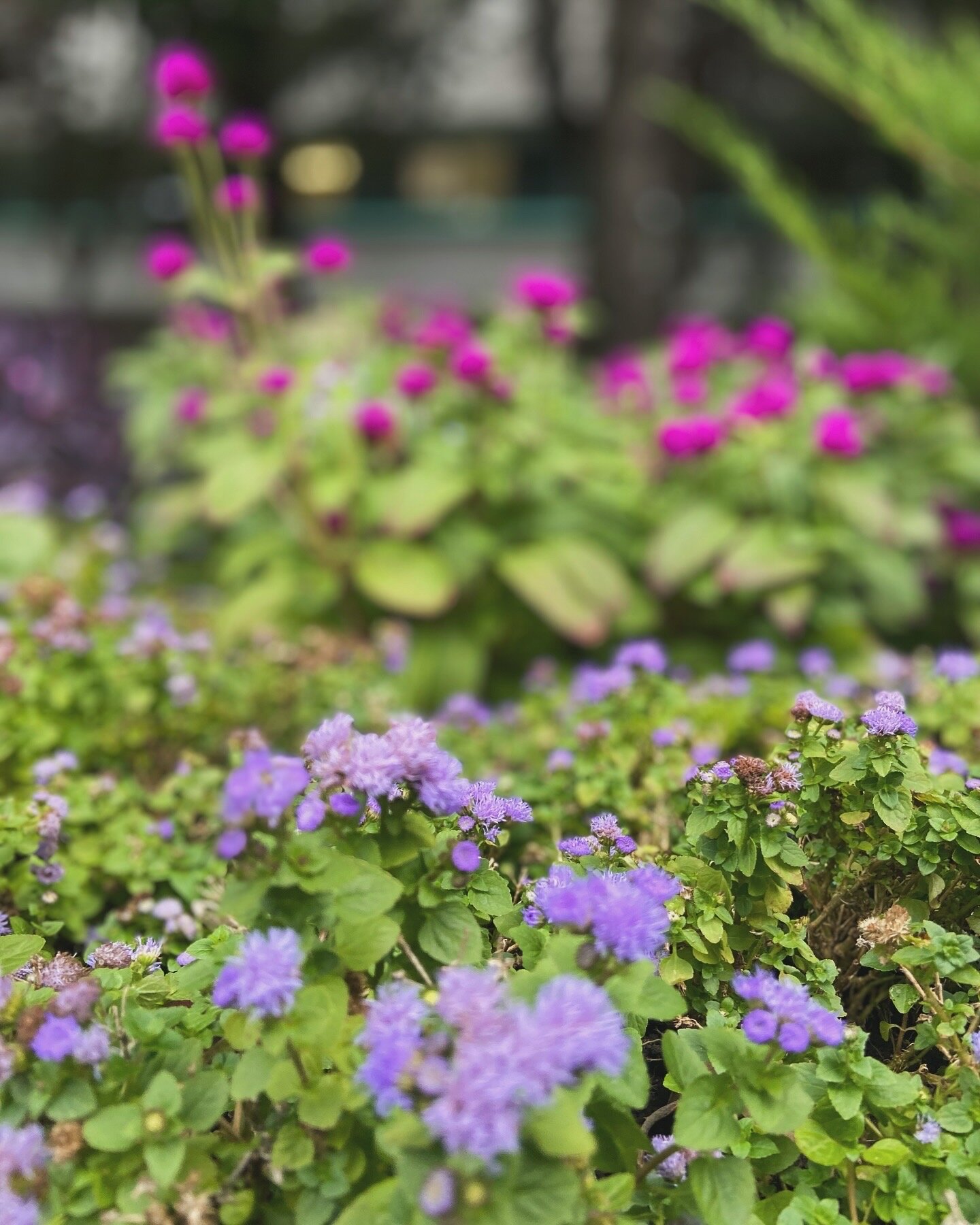 Фото Azimut Здоровье Ивушка