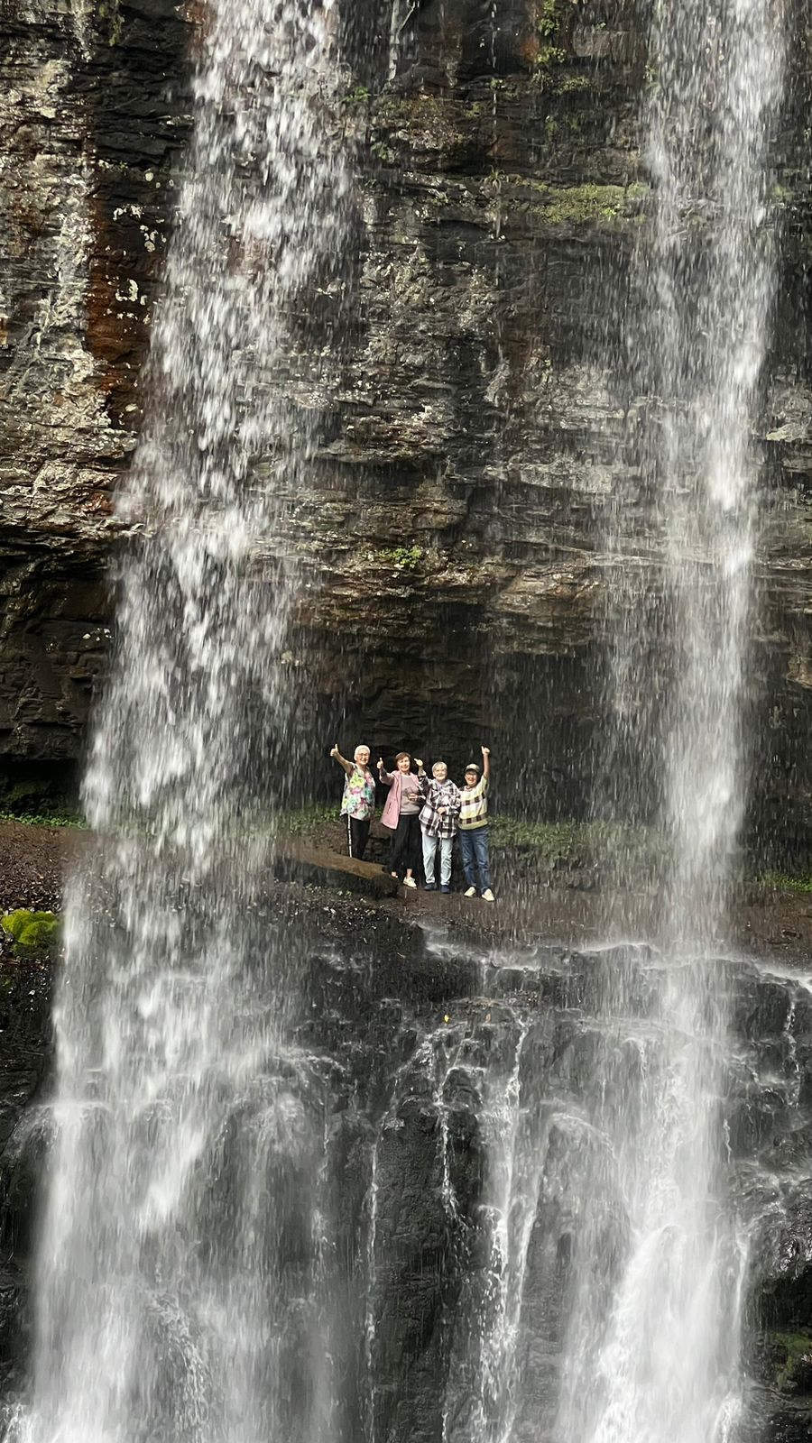 Фото Гостевой дом Кипарис