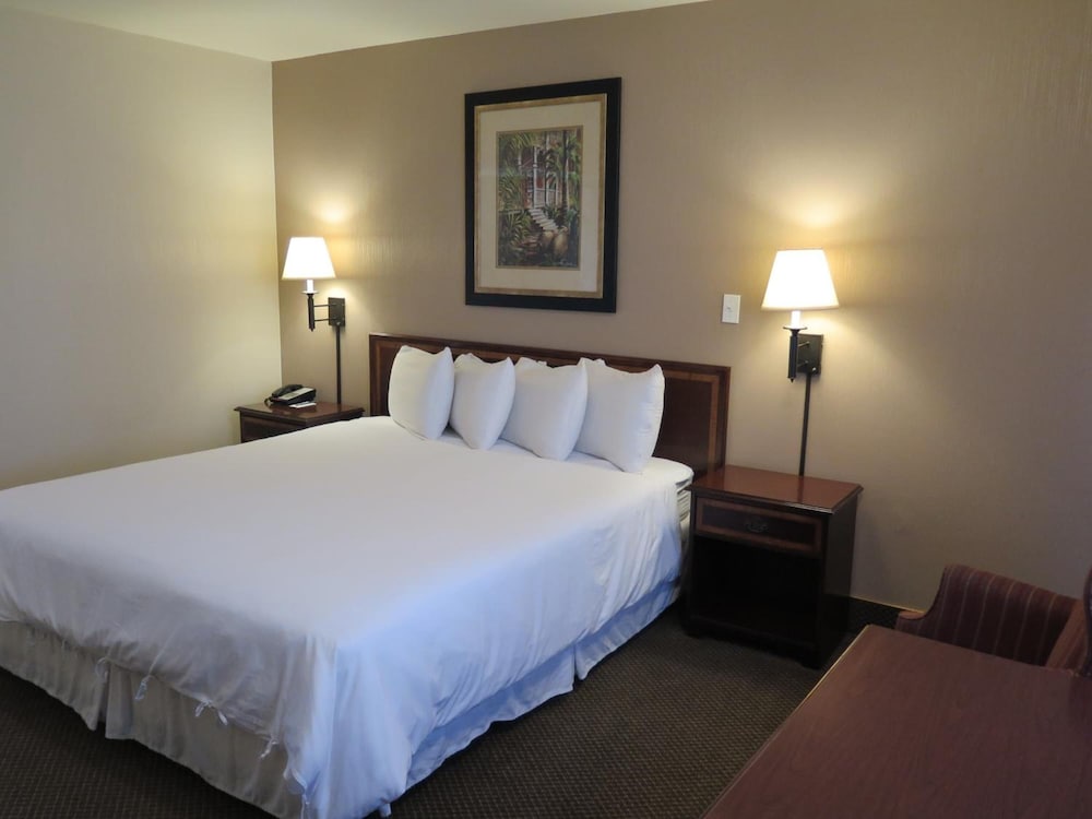 Фото Bonanza Inn & Suites