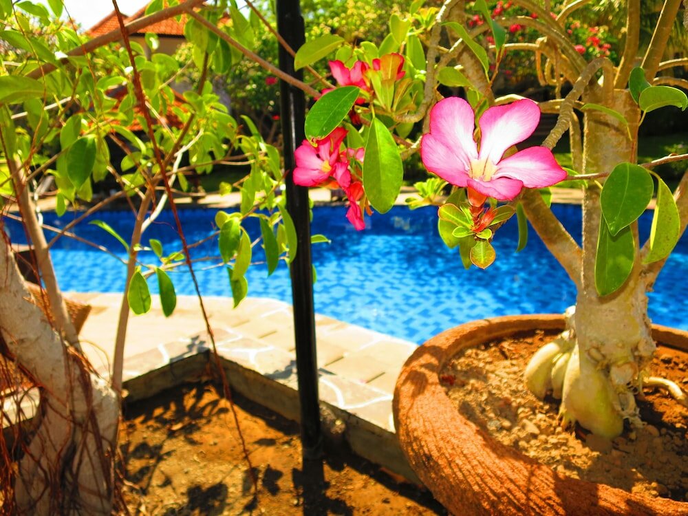 Фото Liberty Dive Resort