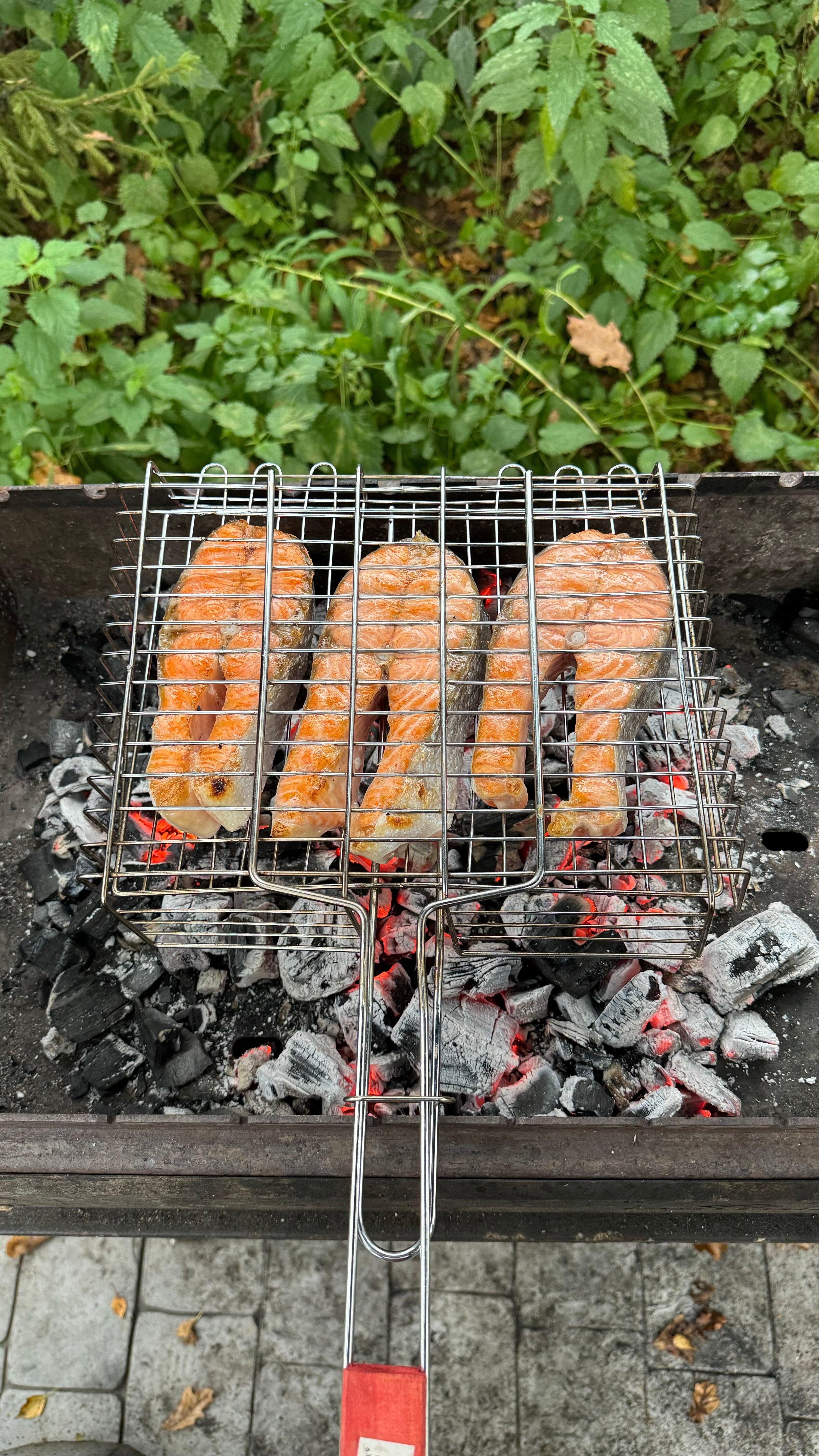 Фото ЧиллВилл