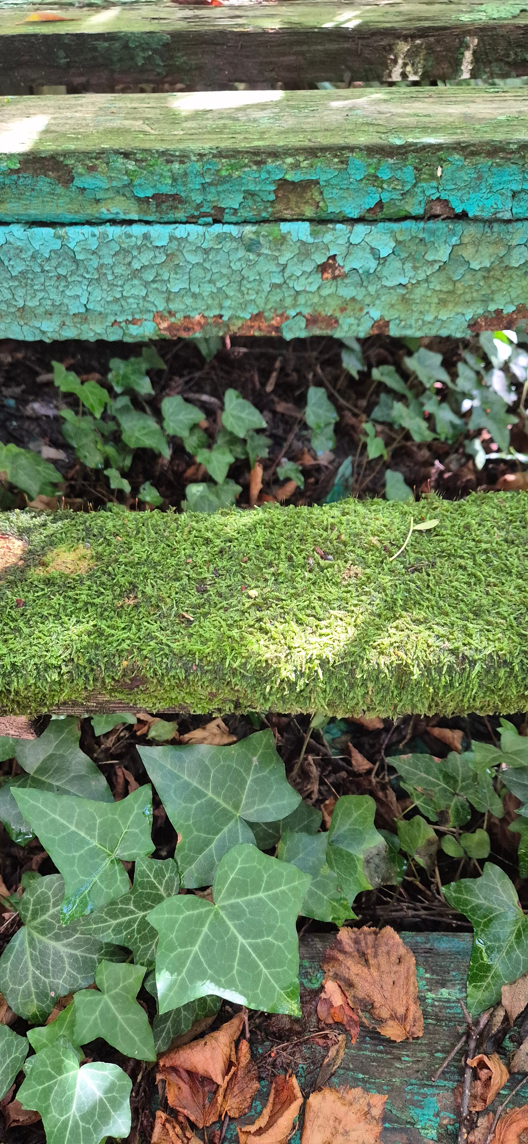 Фото Сосновый Бор