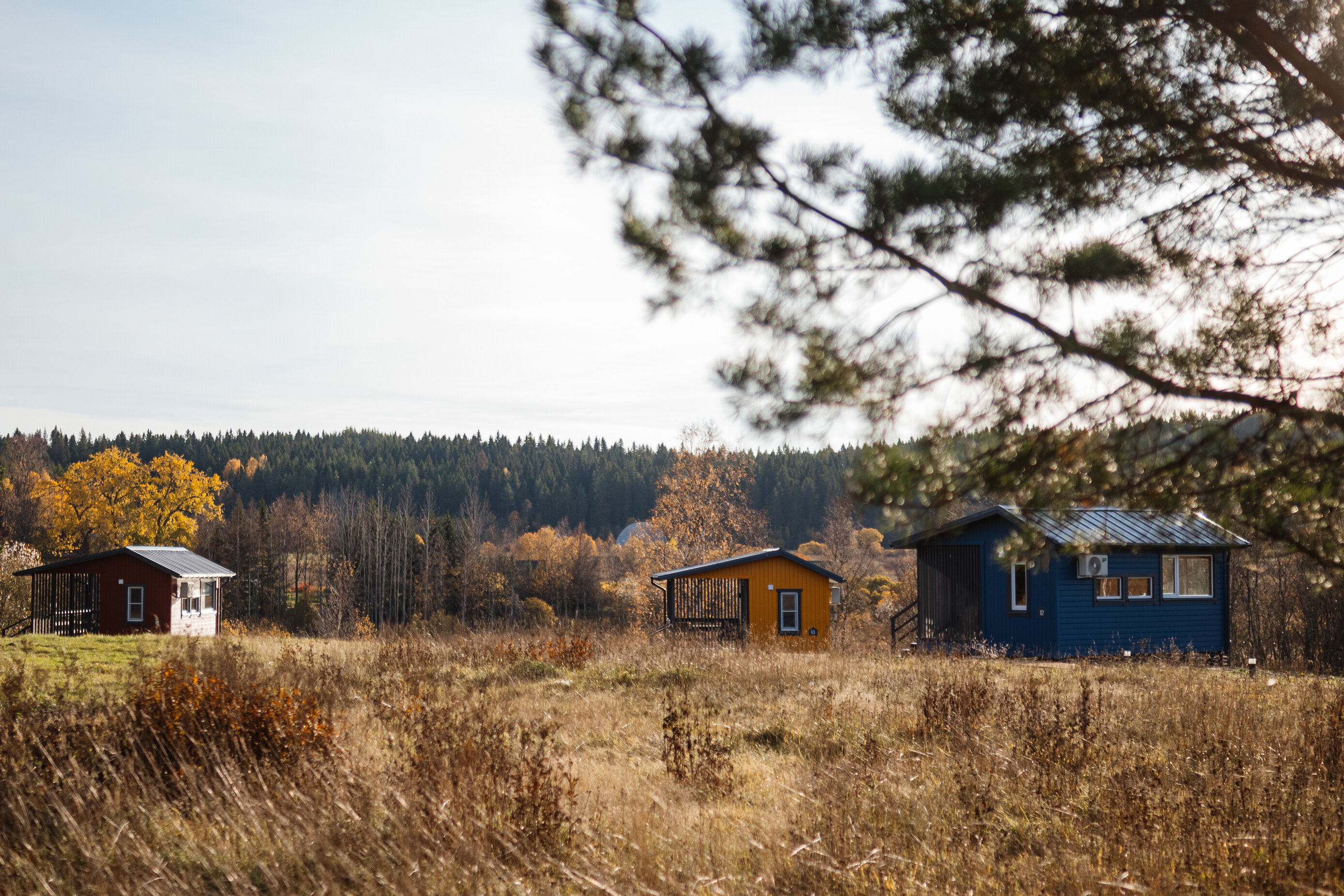 Фото Ягодная деревня