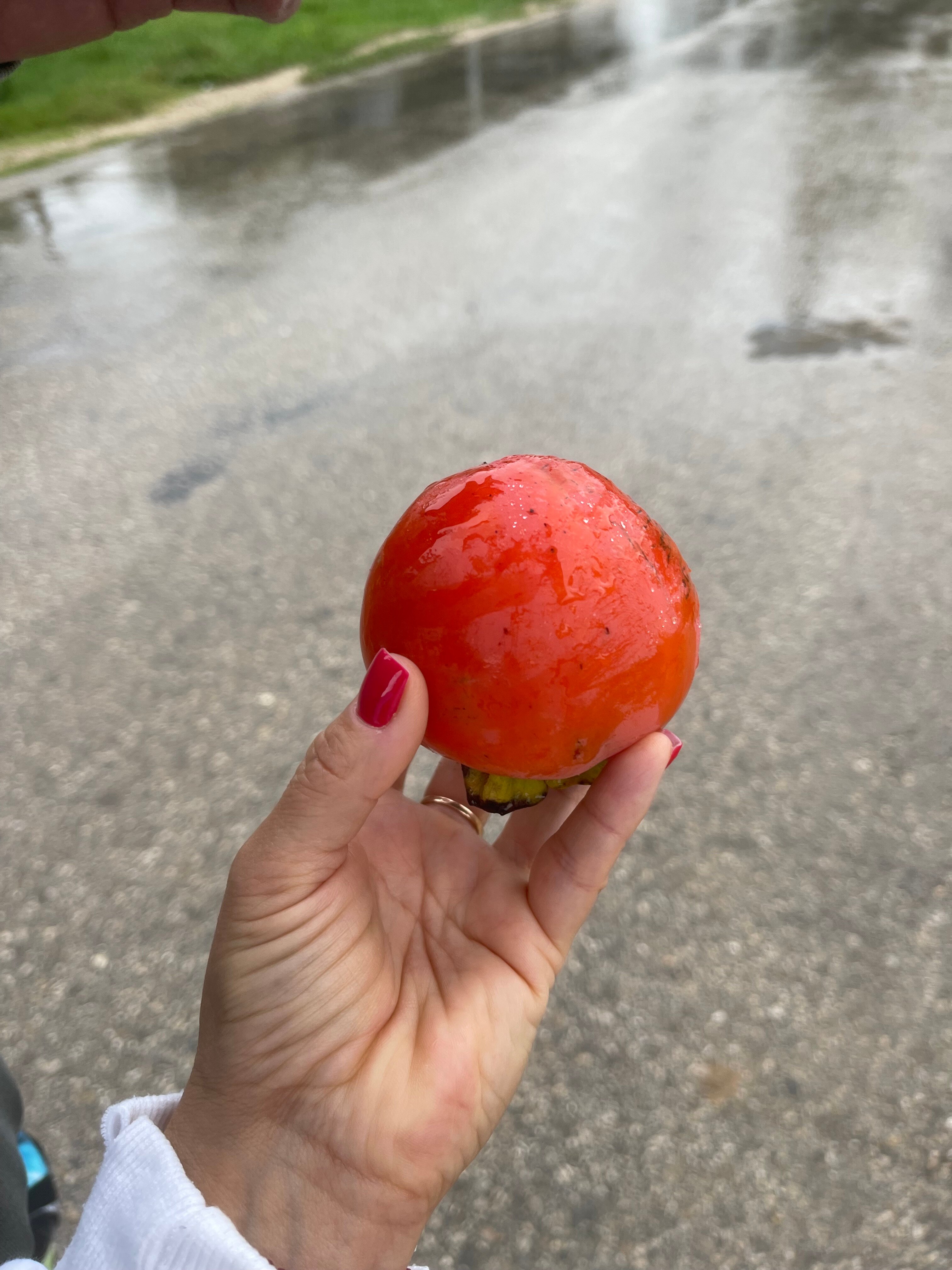 Фото Эко-коттеджи DiAlex