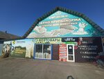 Цветы (Vokzalnaya ulitsa, 204), flower shop