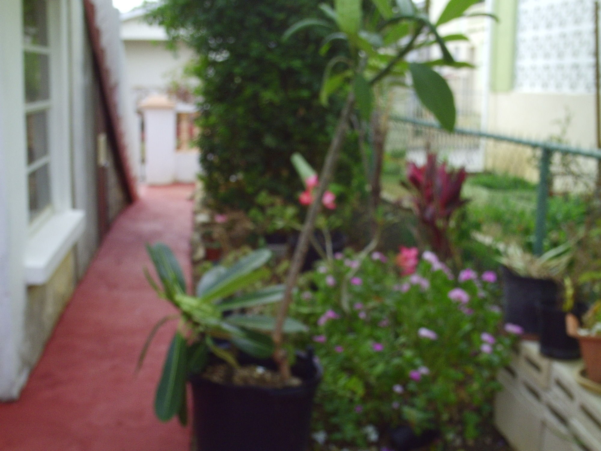 Фото LeMarida Suites