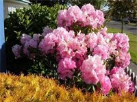 Фото Kerry's Motel