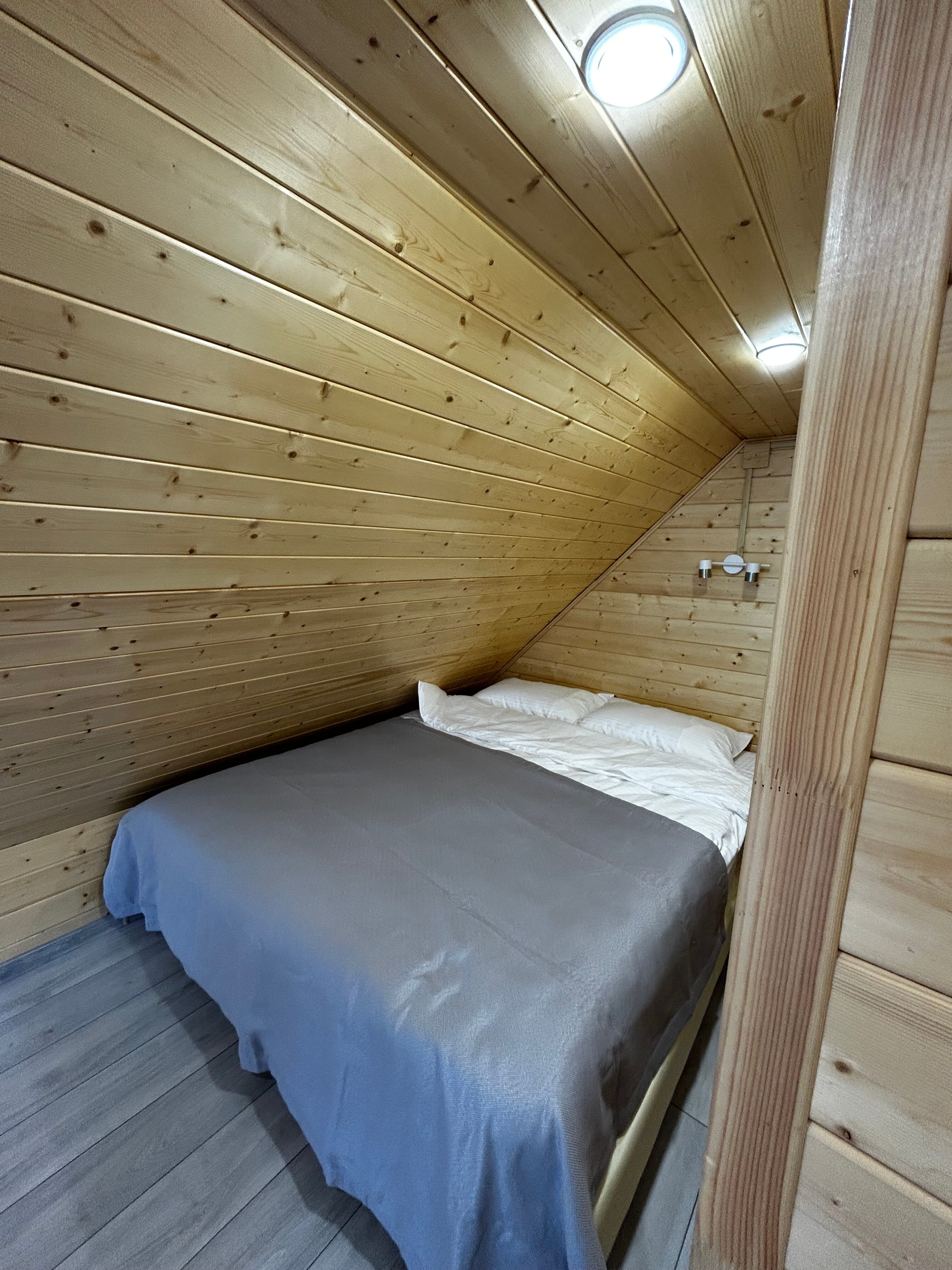 Фото Багульник