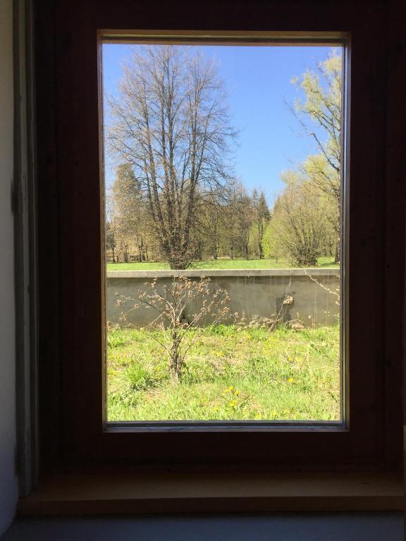 Фото Лофт в лесу