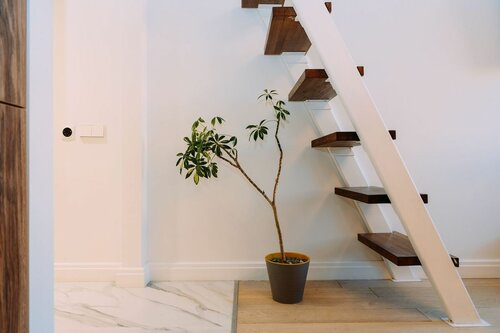 City Stay  фото 8