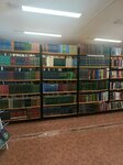 Библиотека, филиал № 4 (ulitsa Lenina, 99) ، مكتبة