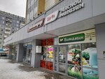 Jola-market (Orbita District, Lytkina Street, 31), grocery