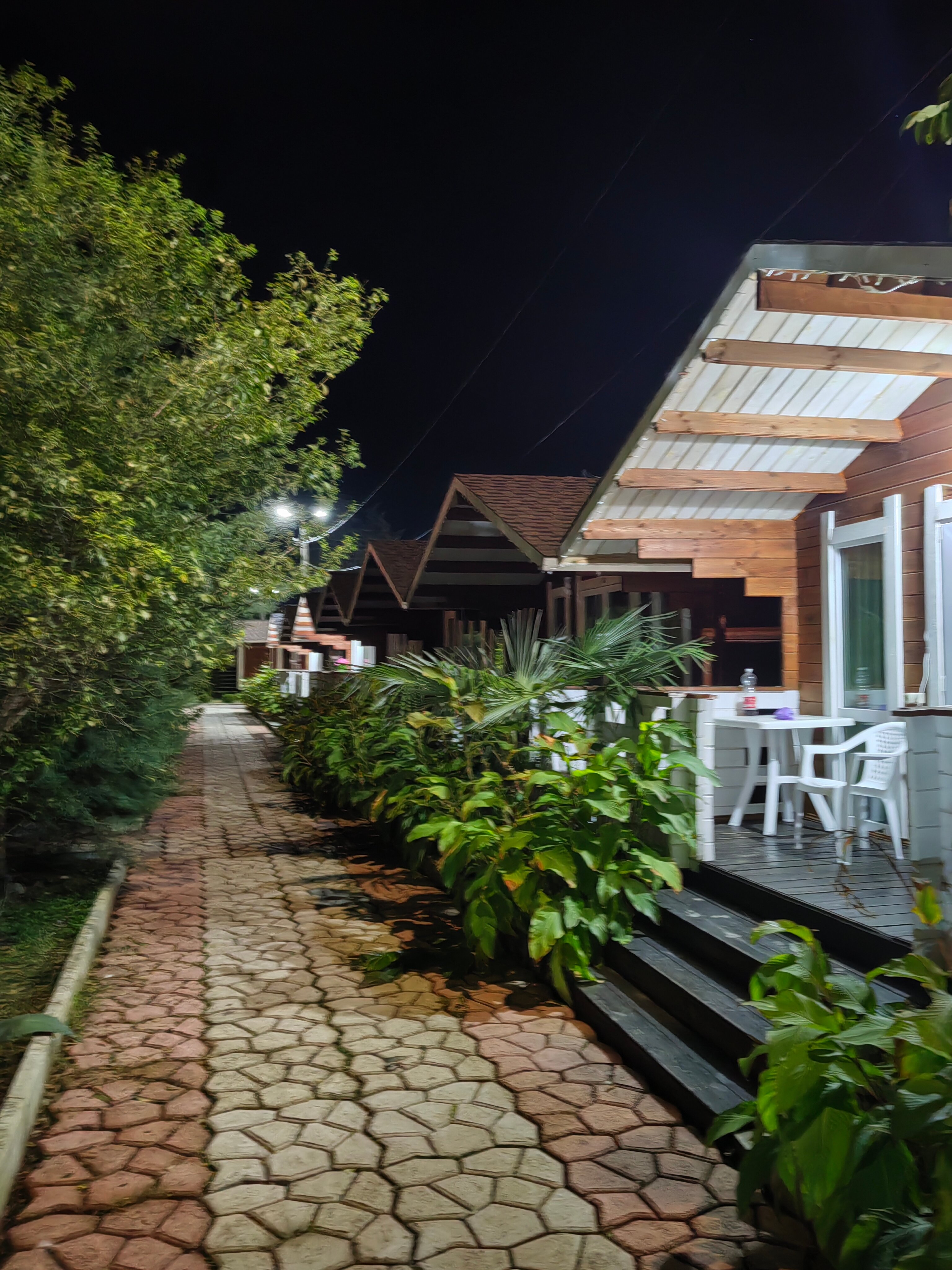 Фото Eco House Pitiunt