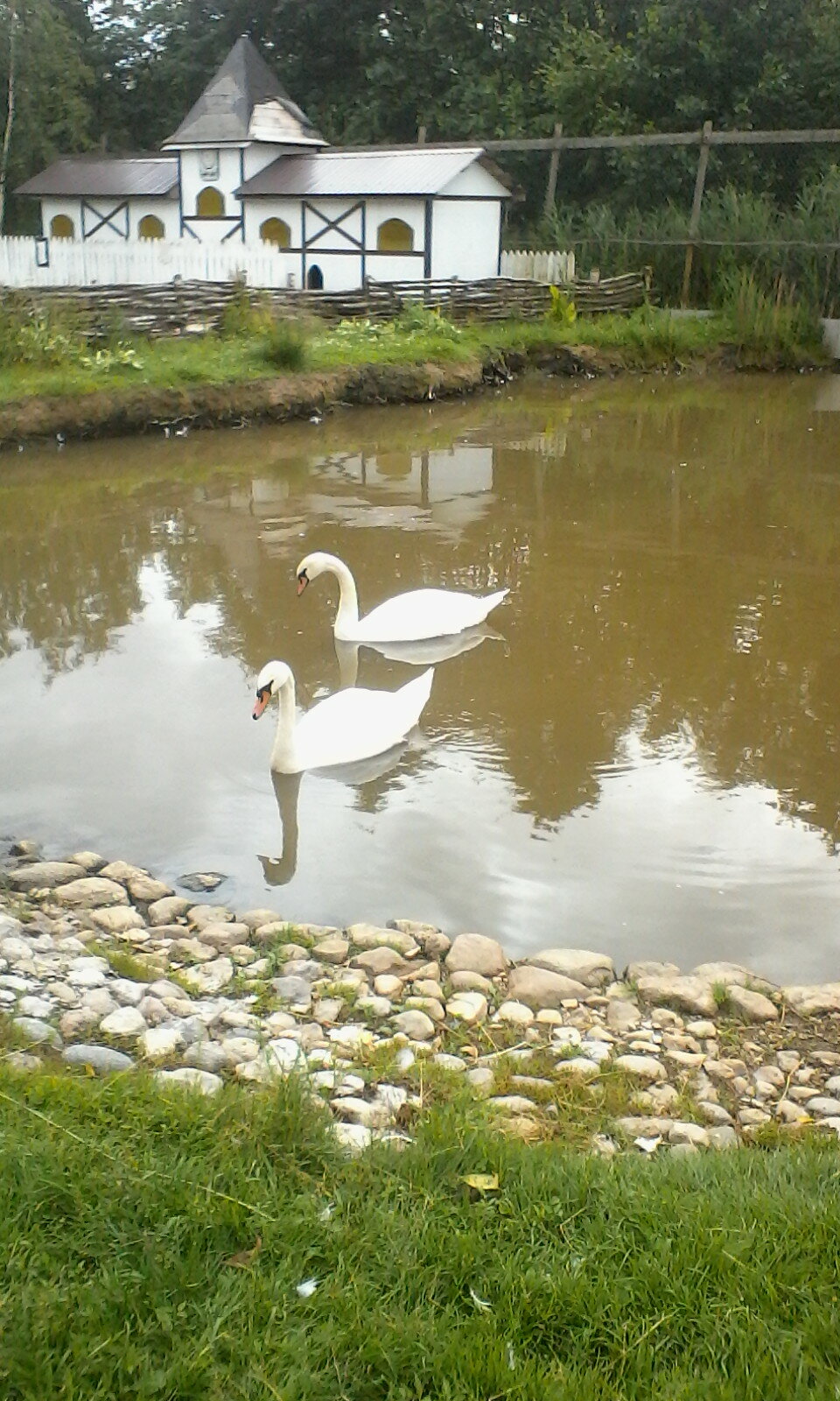 Фото Лукоморье