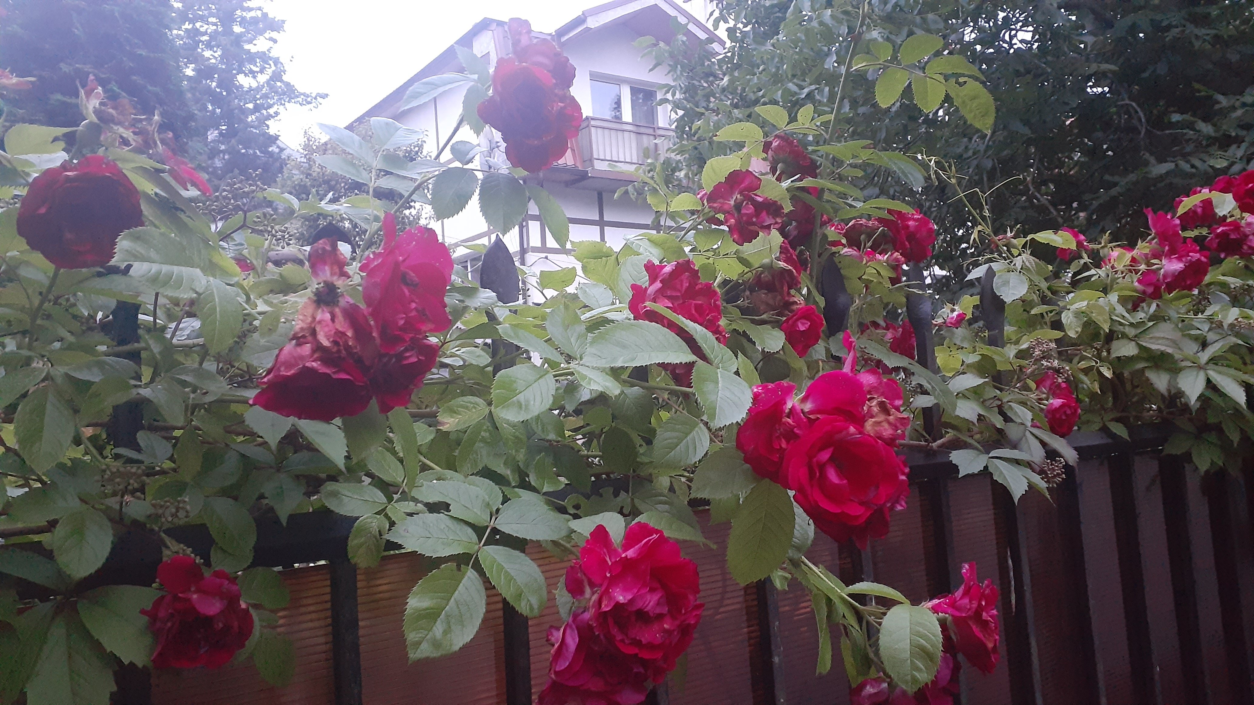 Фото Отель Подгорная, 20