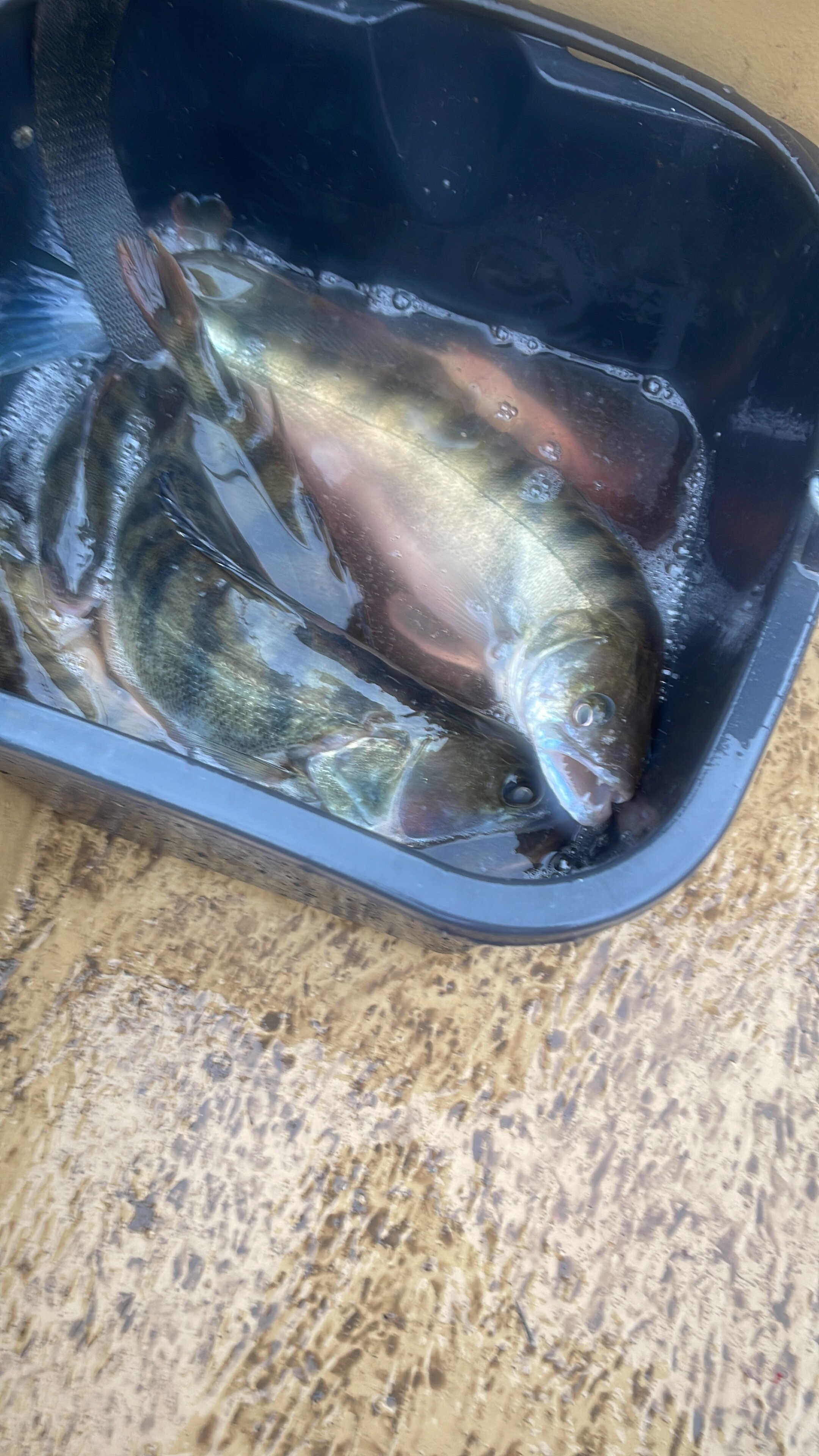 Фото Фарватер