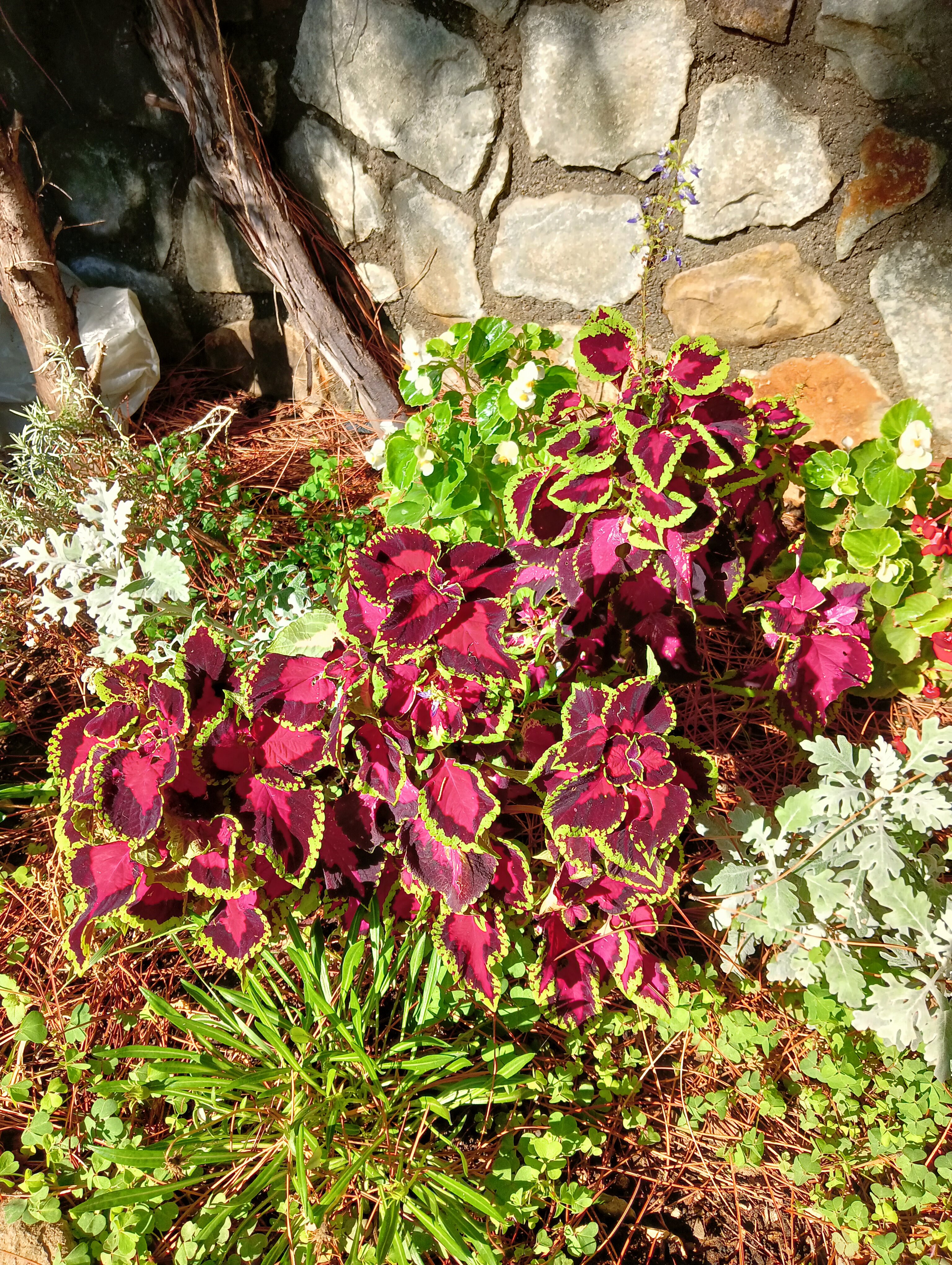 Фото Владислава