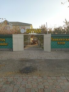 Shynar (194-shi oram, 2352), cafe