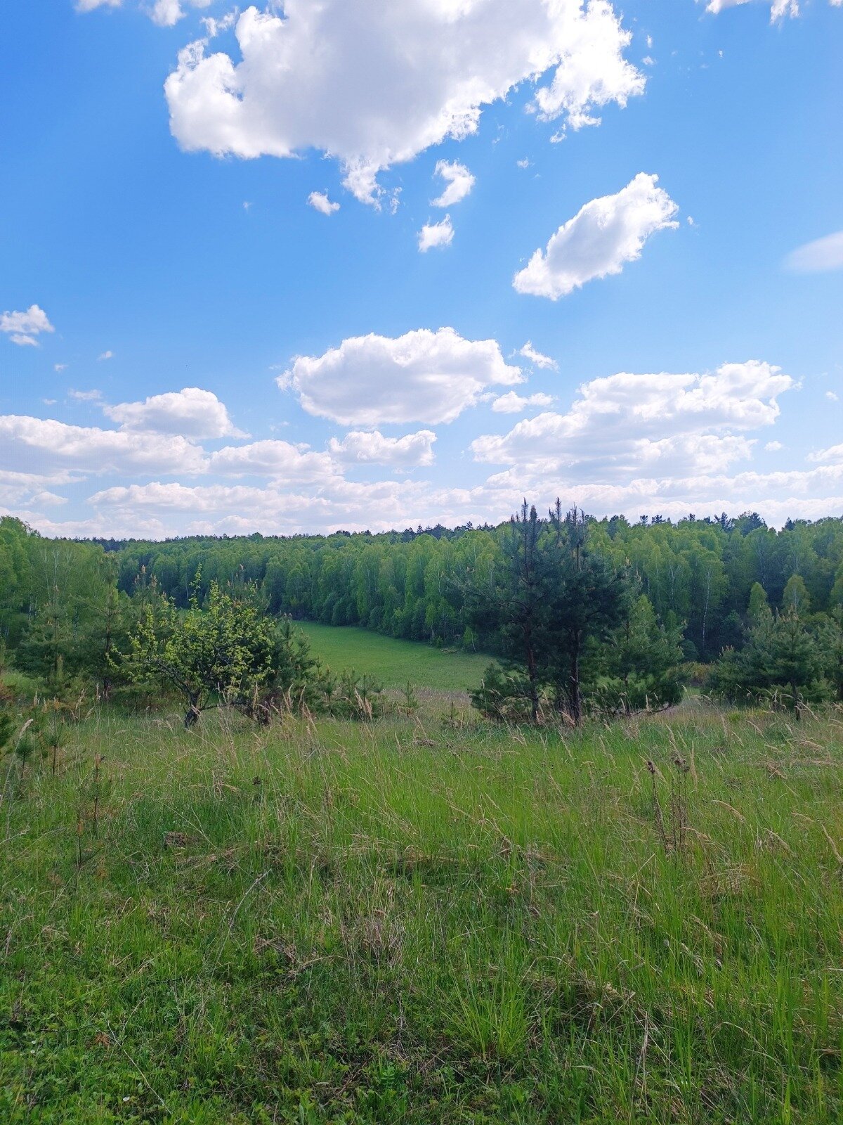 Фото Домики Бородино