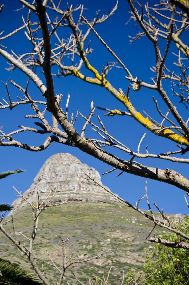 Фото Maartens Guesthouse