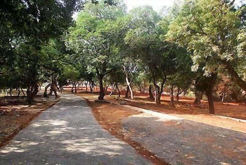 Фото Hotel Krishna Continental