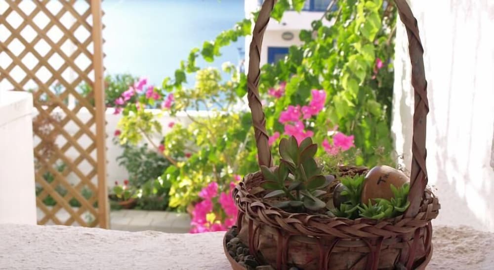 Фото Michalis Studios