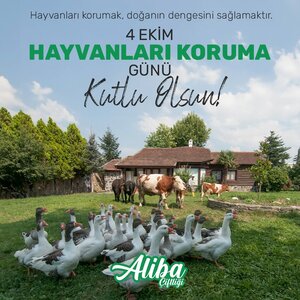 Aliba Taste Garden (Bursa, Yenisehir, Karakoy Neighborhood) ، مطعم