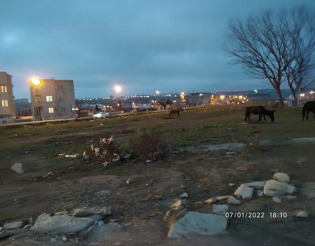 Primary school Mimar Sinan Primary School, Silivri, photo
