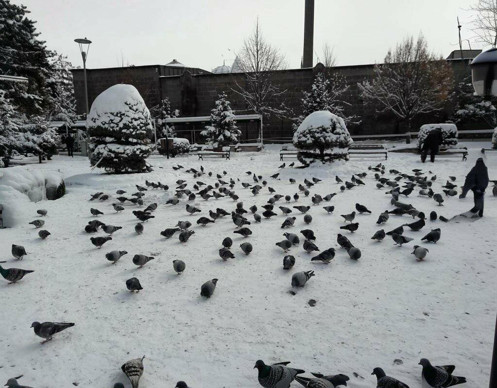 Primary school Mehmet Sepici 60th Year Republic Primary School, Kayseri, photo