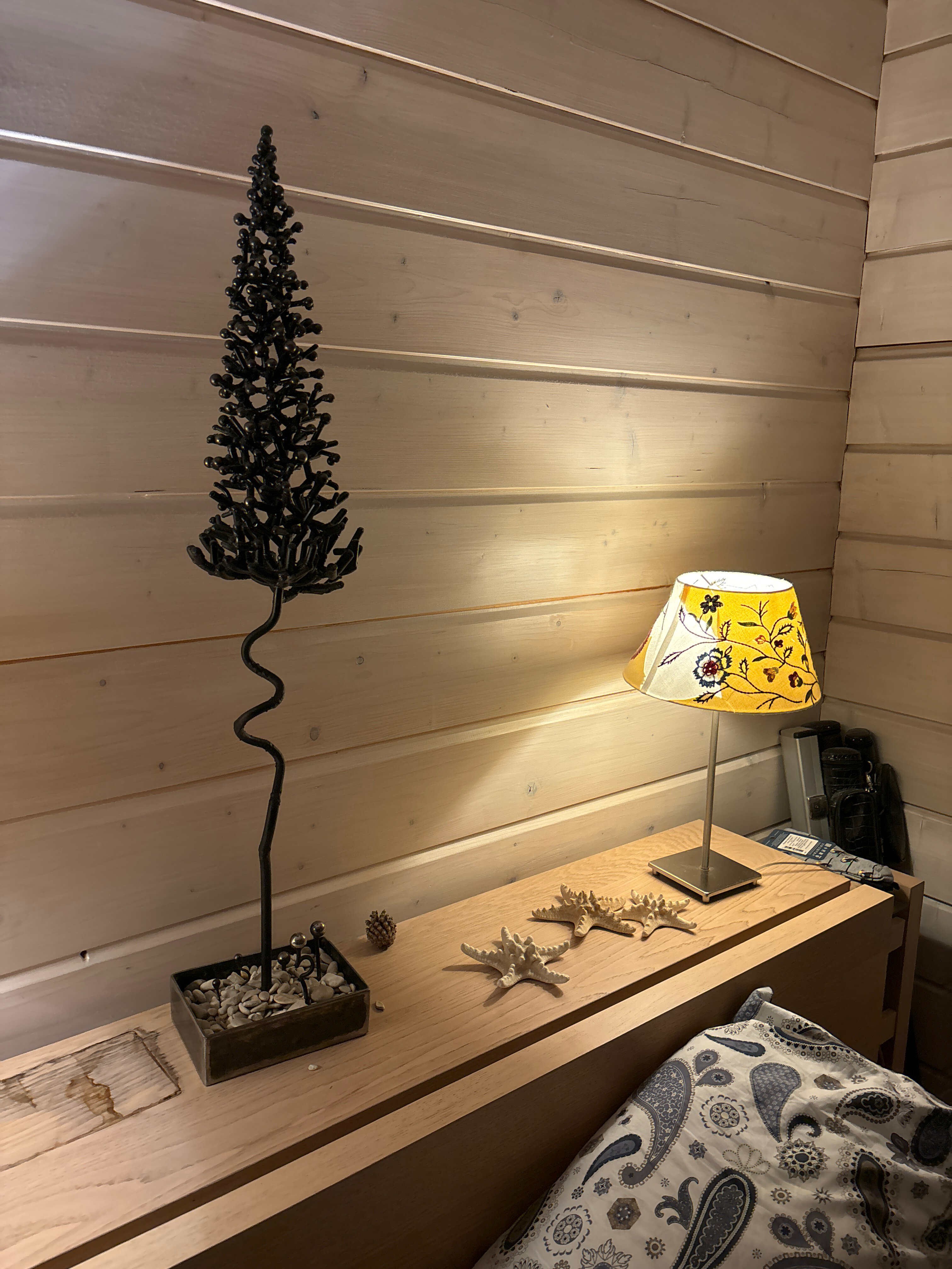 Фото Веточка