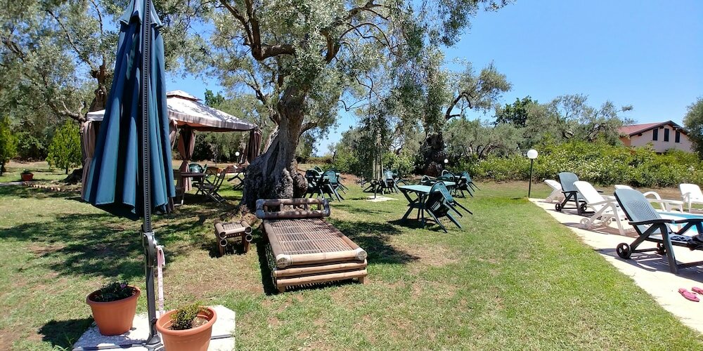 Фото La Piana degli Ulivi