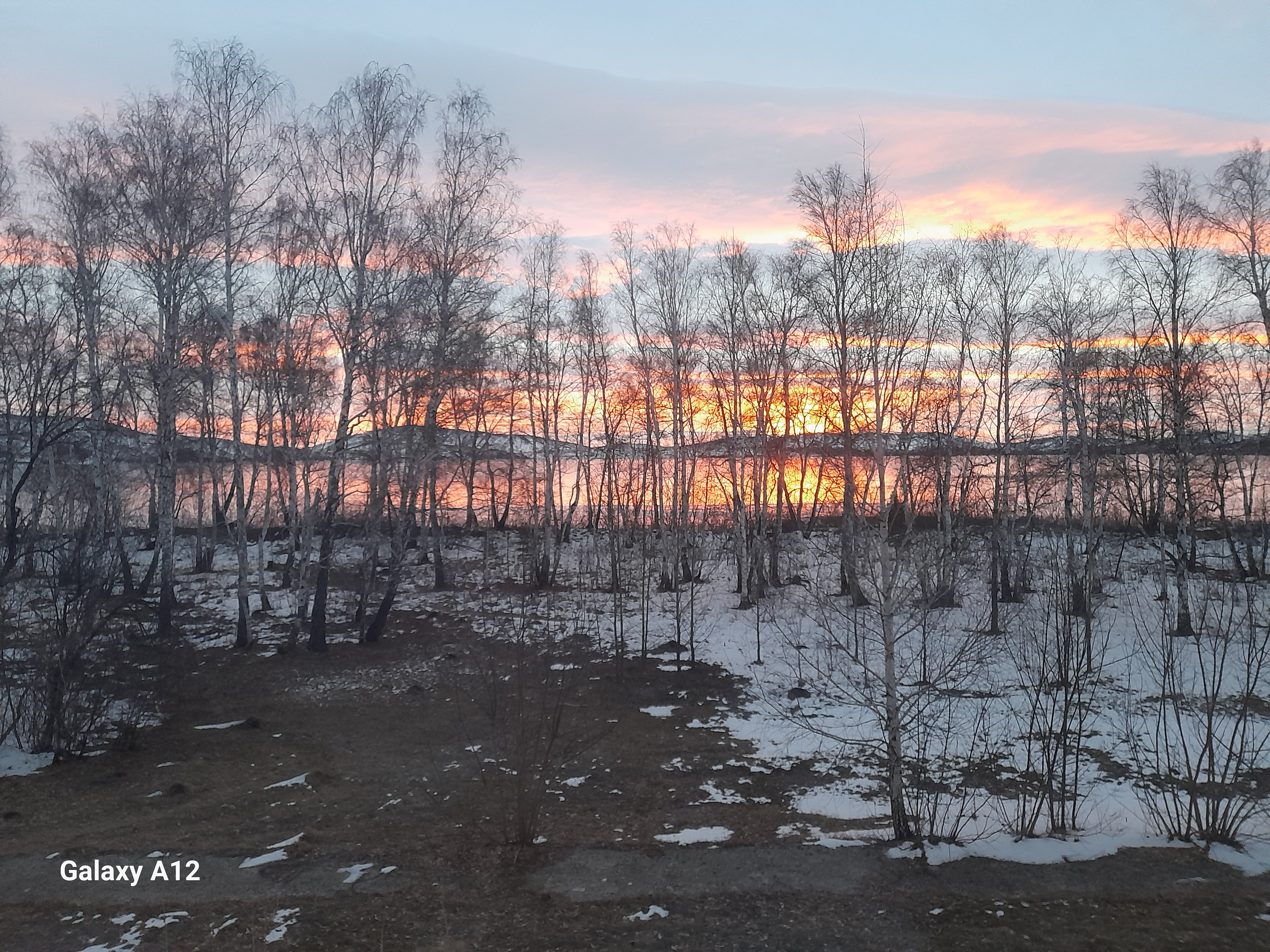 Фото Берёзки