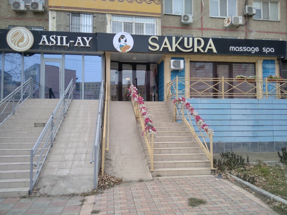 Ол затты бөксесіне тығып, серуендеуге шықты.