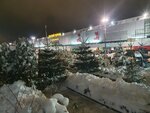 Живые Ели (Vyborgskoe Highway, 503), christmas market