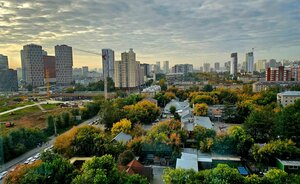 Белинский