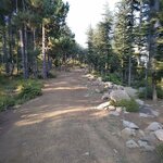 Mehmet Akif Ersoy Primary School (Kahramanmaraş, Andırın, Yeni Mah., Mehmet Akif Ersoy Sok.), primary school