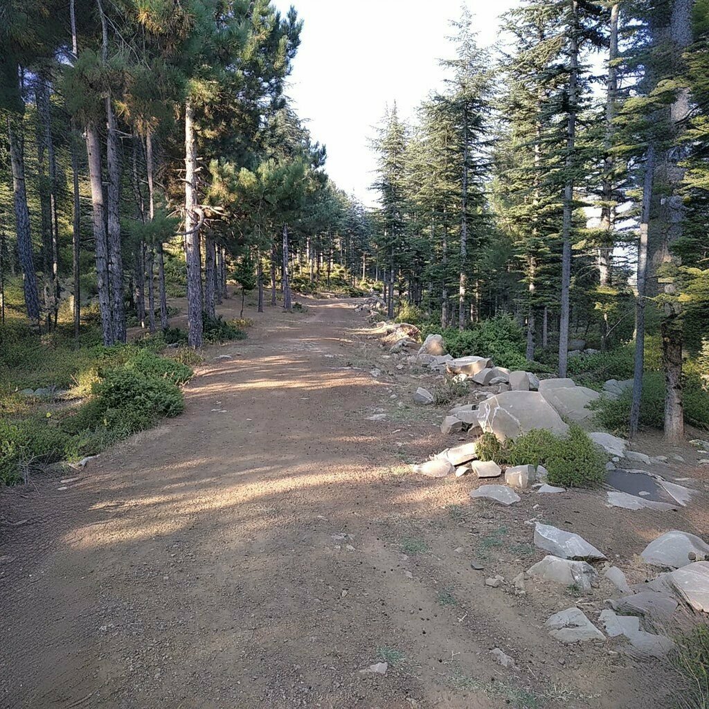 Primary school Mehmet Akif Ersoy Primary School, Andirin, photo