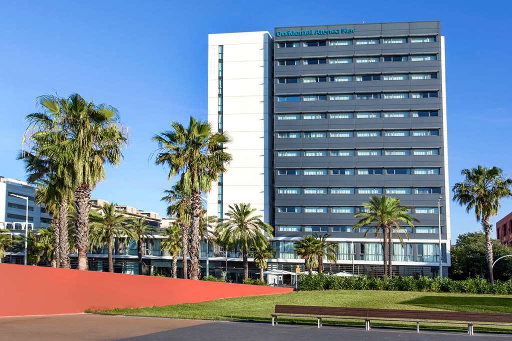 Фото Occidental Atenea Mar