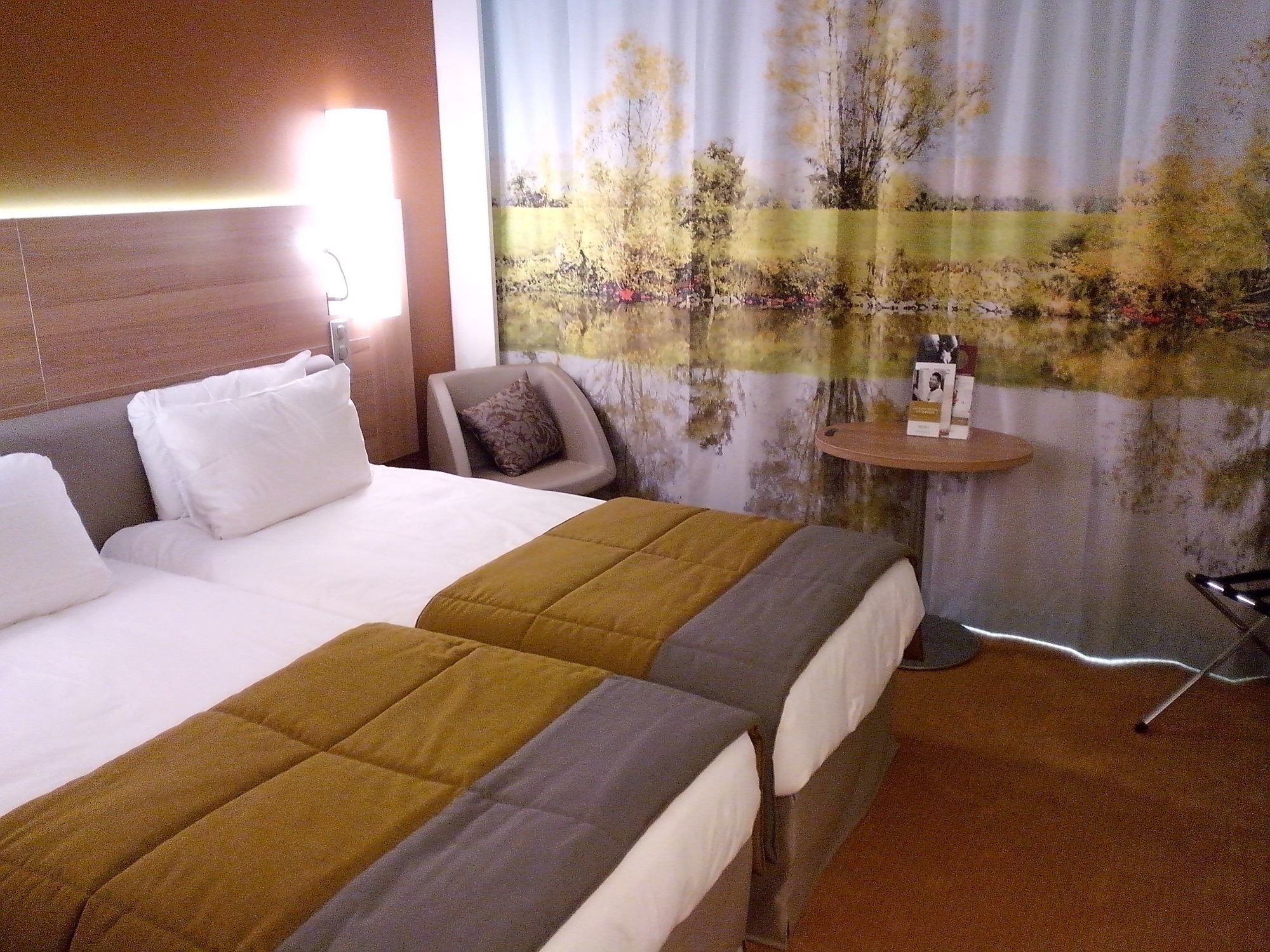 Фото Mercure Macon Bord de Saone