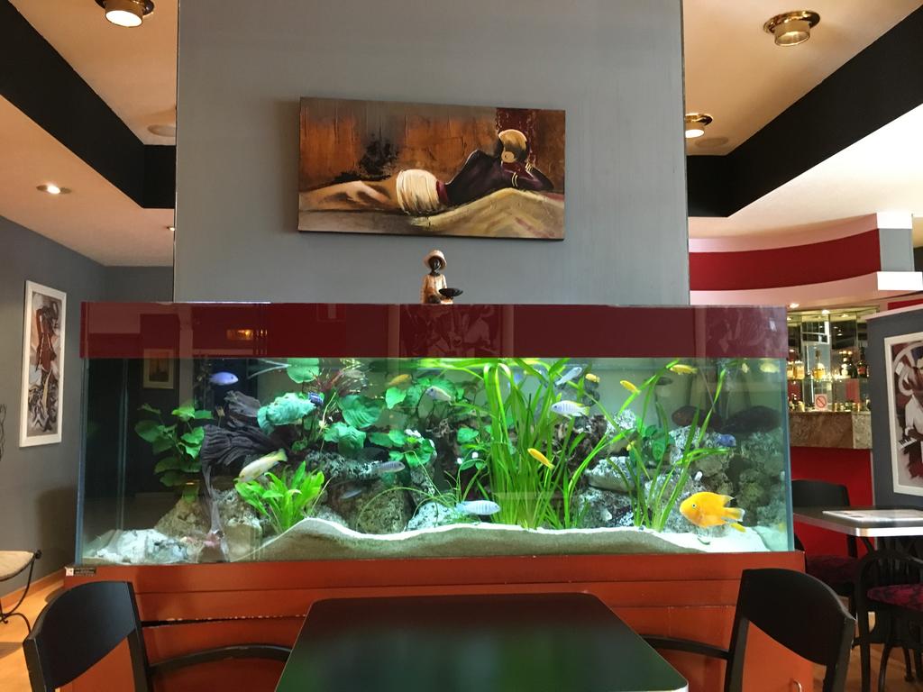 Фото First Euroflat Hotel