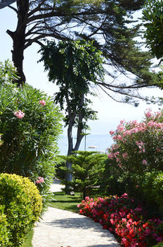 Фото Imperial Garoupe