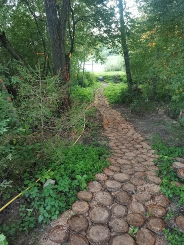 Фото Прованс