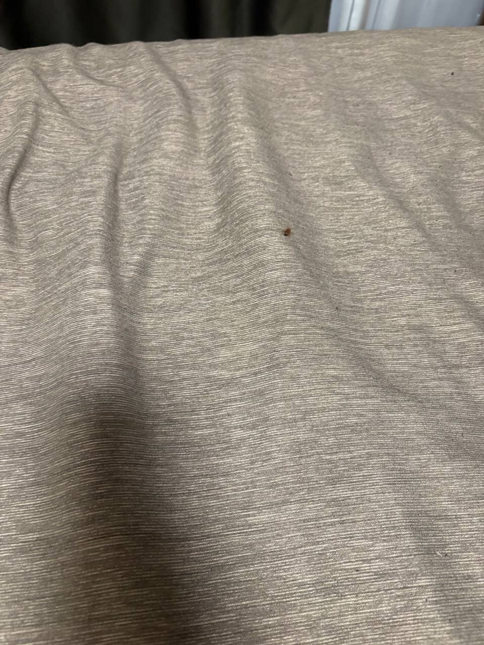 Фото Ваш Восход