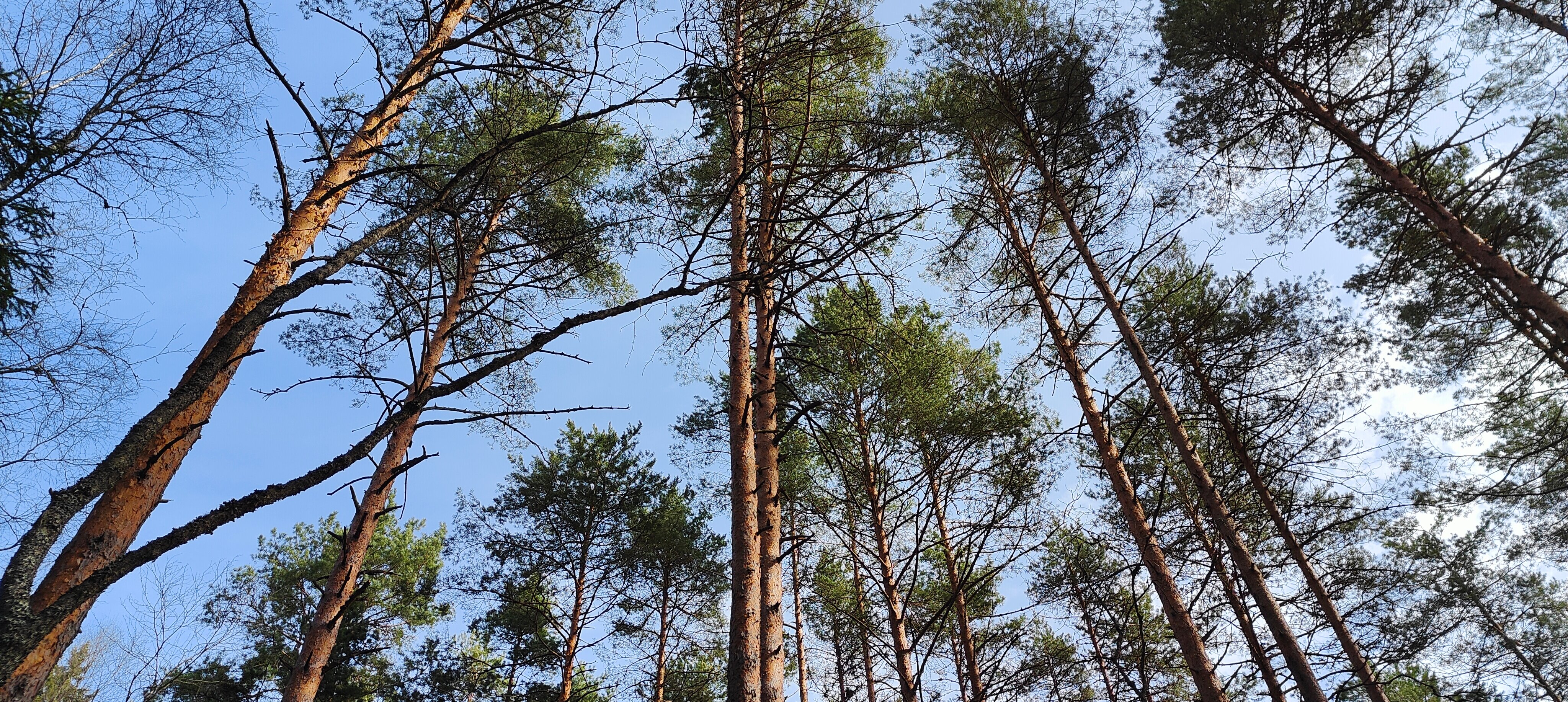 Фото Дивная бухта