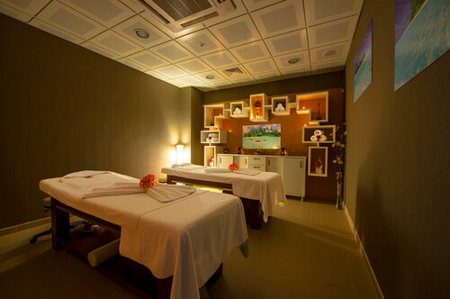 Гостиница Ataol Çan Termal Otel & SPA в Лапсеки
