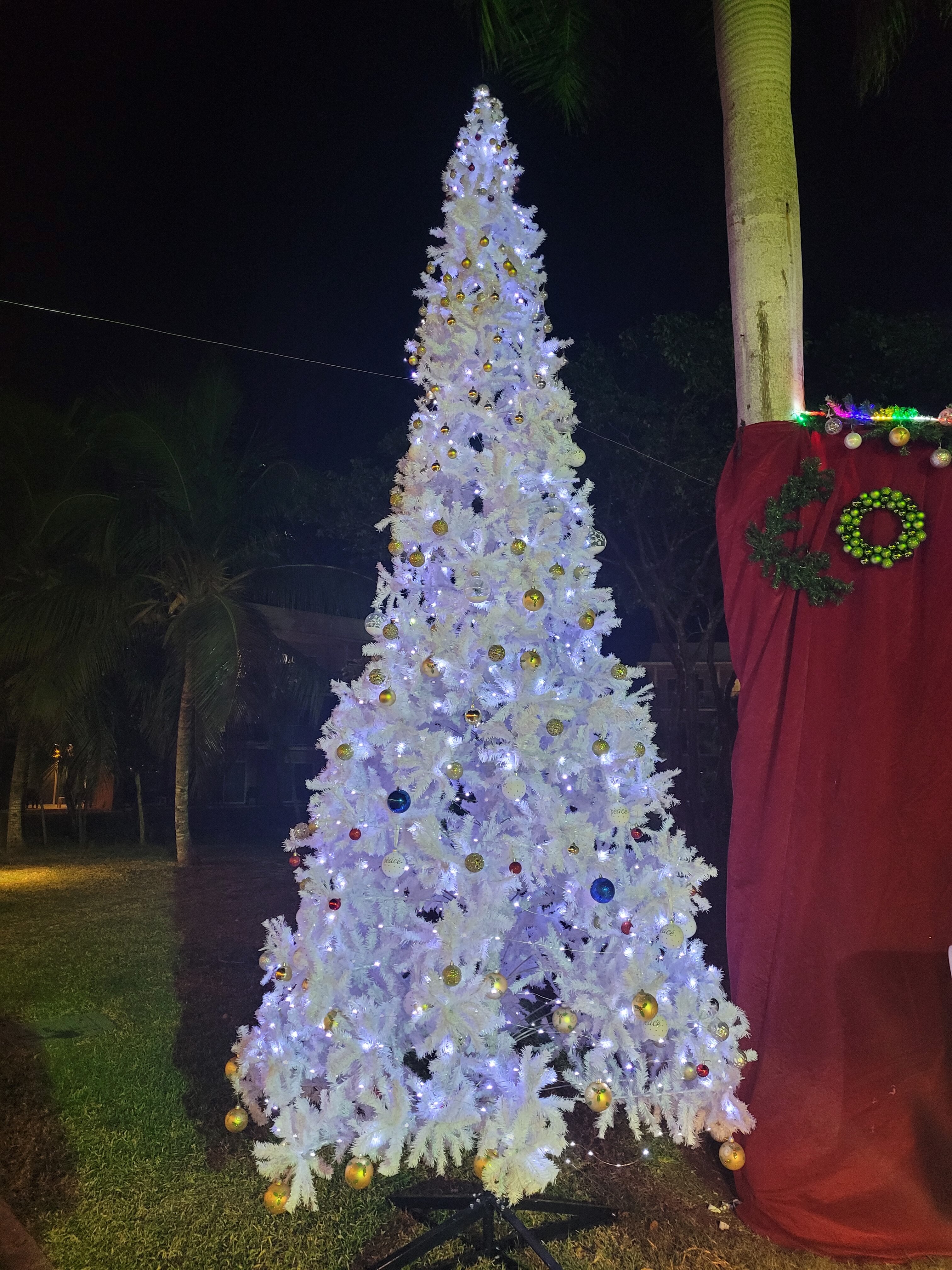 Фото Hotel Playa Vista Azul